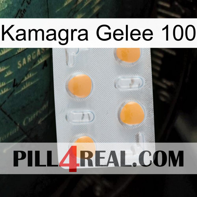 Kamagra Jelly 100 24
